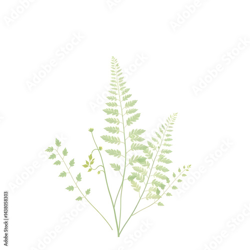 Botanical Illustration - ferns in sage and cream for stationery
