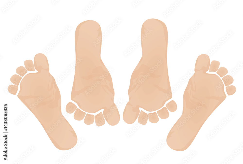 Two pairs of foot icon. vector Two pairs of foot icon. vector