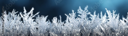 Frosted leaves sparkle under blue light, creating a magical winter atmosphere.