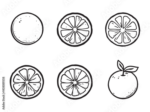 Orange vector line art illustration