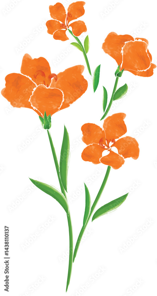 Naklejka premium bouquet of orange flowers