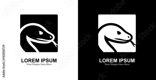 Anaconda head logo design combined with a square