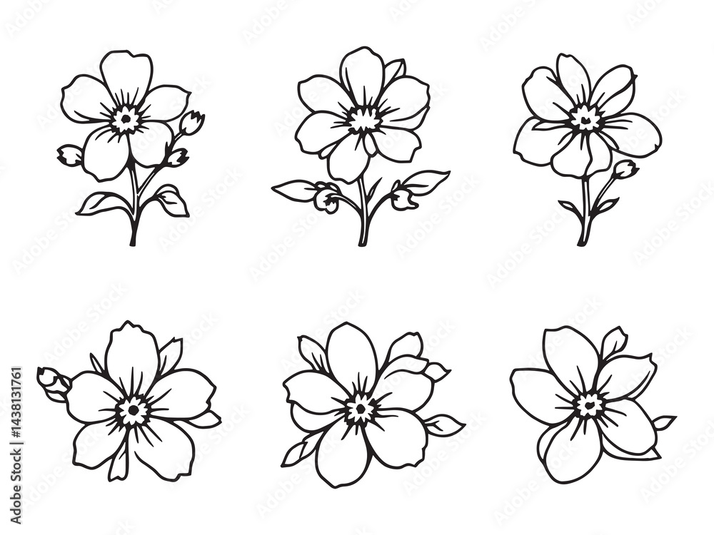 Obraz premium Sweet Alyssum vector line art illustration