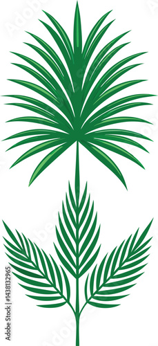 Isolated on white, a green cannabis leaf vector illustration depicts the nature of the marijuana plant, often associated with medicine and sometimes considered a narcotic herb