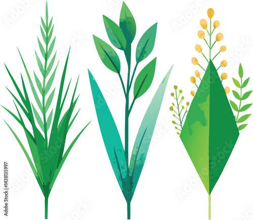 Green wheat ears, a plant of nature, stand isolated on white, a spring growth from the field