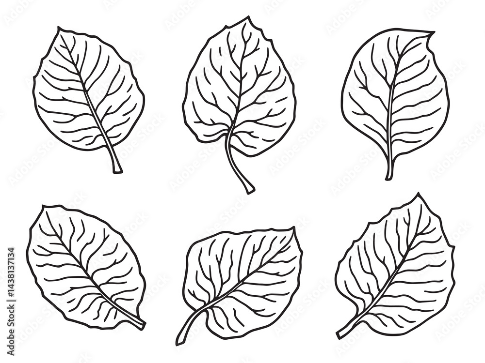 Fototapeta premium Teak leaf vector line art illustration