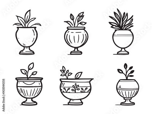 Urn Plant vector line art illustration