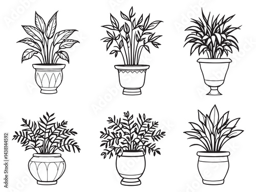 Urn Plant vector line art illustration