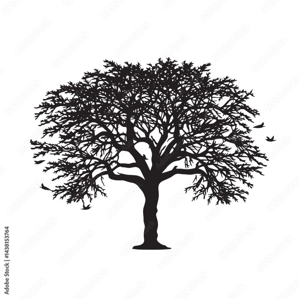 Fototapeta premium Neem Tree Branches Silhouette Isolated
