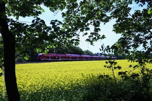 S-Bahn mit Rapsfeld im Frühling