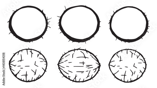 Coconut set line art
