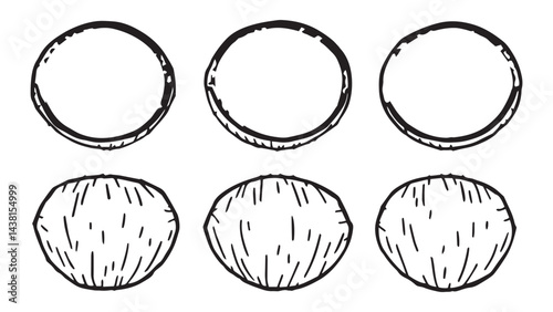 Coconut set line art