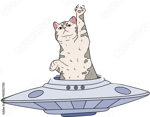 illustration of a cute cat riding a ufo