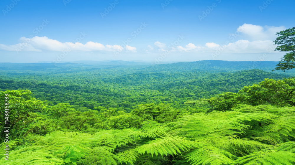 Obraz premium The lush green jungle of the daie valley showcasing breathtaking views and vibrant natural ecosystems in nature