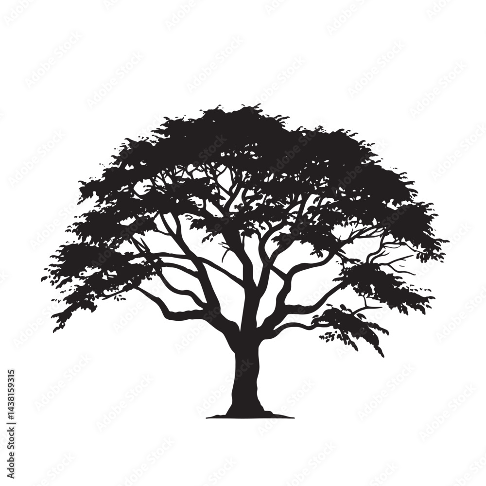 Fototapeta premium Neem Tree Leafy Silhouette Isolated