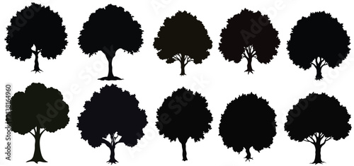 Tree silhouettes mega set in cartoon graphic design. Bundle elements of black outline oaks, maples, pines and other simple trees shapes for landscaping forest. Vector illustration isolated on white ba