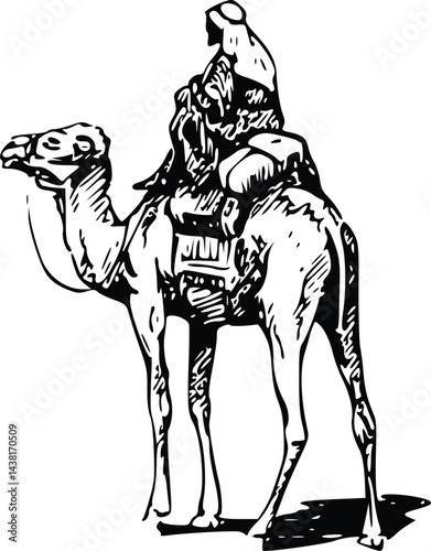 Camel vector