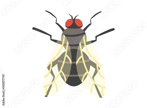 set of an Parasite Disease Housefly Illustration