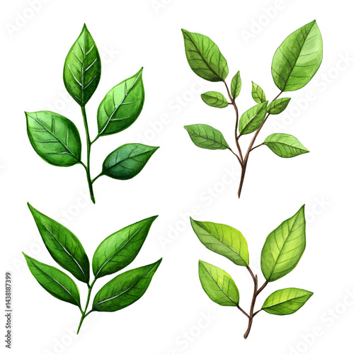 Green leaves pattern background design stock photo