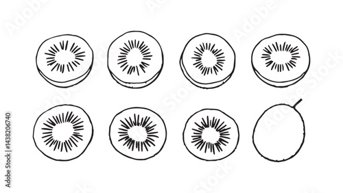 Kiwi set line art