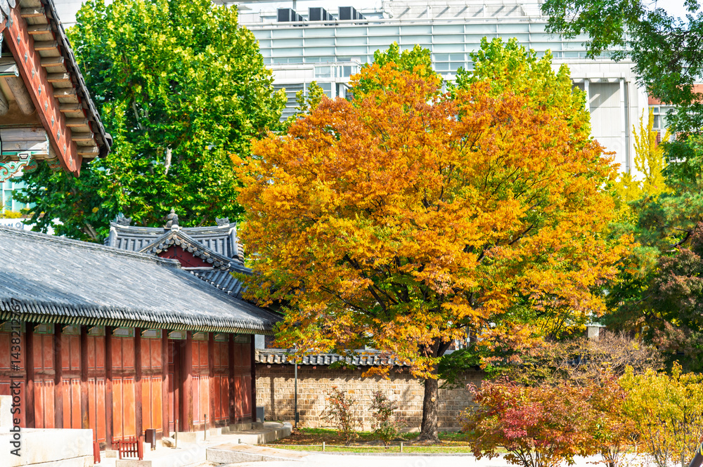 Huwon the Secret Garden inner part of Changdeokgung Palace with Autumn season background, Seoul city, South Korea