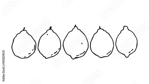 Lemon set line art