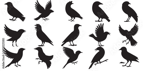 set of vector icon bird silhouette	
