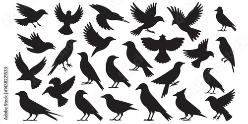 set of vector icon bird silhouette	
