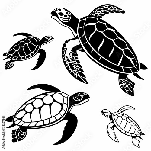 Sea Turtles: Professional Black & White Vector Illustration - Detailed Shell Design.