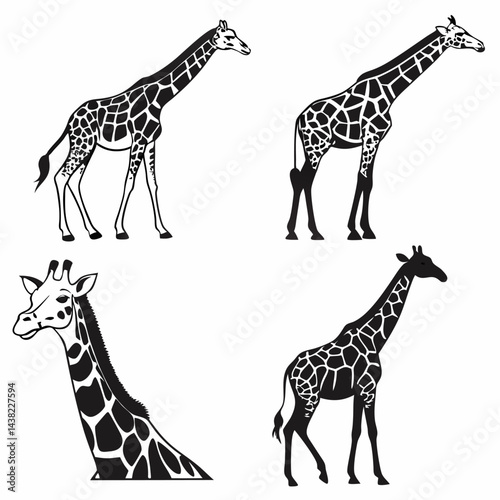 Professional Giraffe Silhouettes: Black & White Vector Set (4 Poses).