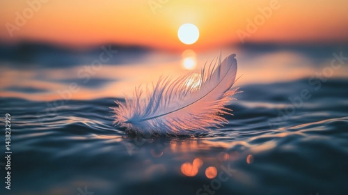 Sunset Serenity: A Single Feather Floating on Calm Ocean Waters