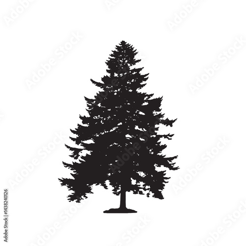 Vintage Douglas Fir Tree Silhouette Vector