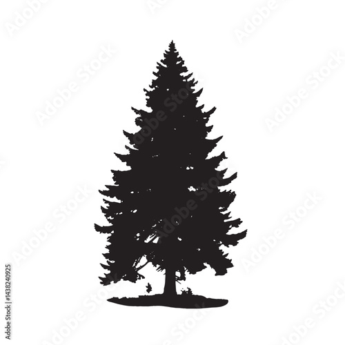 Douglas Fir Tree Silhouette Illustration