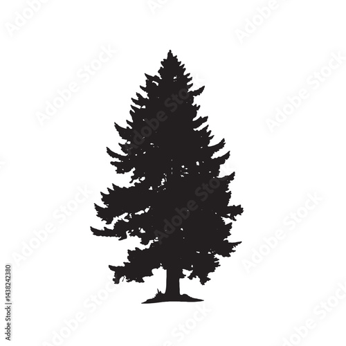 Douglas Fir Tree Silhouette Wall Art Vector