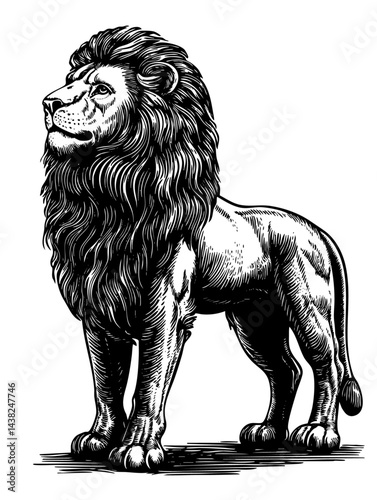 Lion profile engraving, relaxed stance under acacia outline