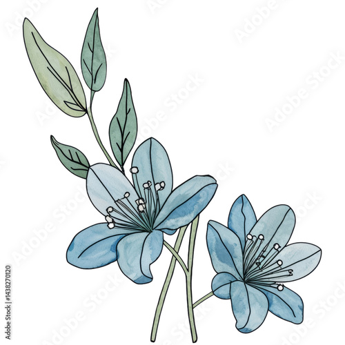 Delicate blue flowers with leaves watercolor botanical art