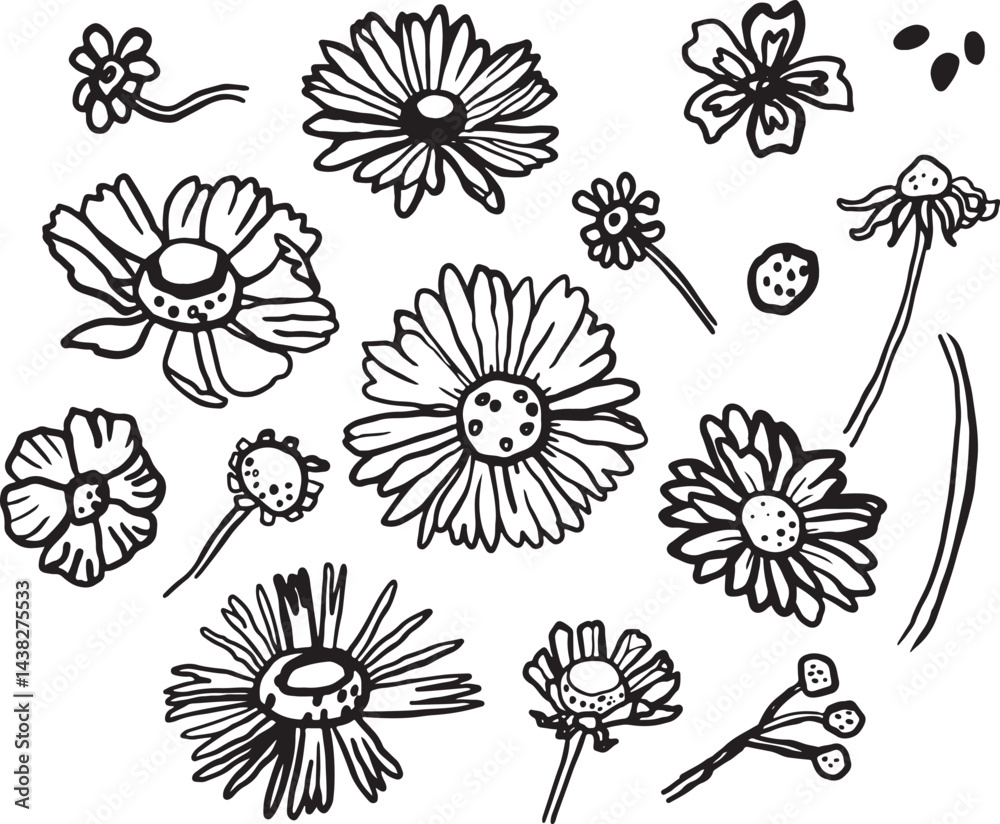 Fototapeta premium Vector hand drawn outline set of flower icons