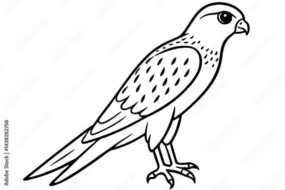 Obraz premium Elegant Kestrel Outline