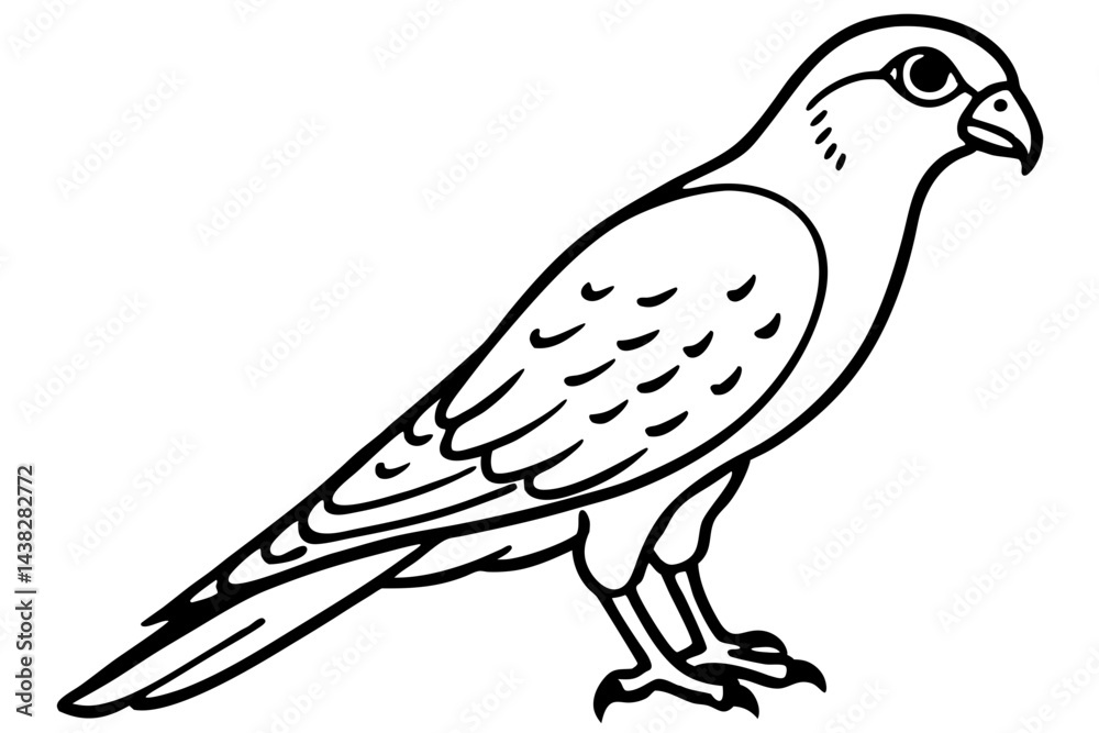 Fototapeta premium Elegant Kestrel Outline
