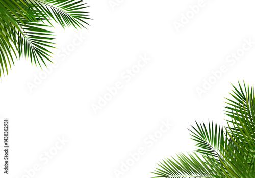 Border With Green Palm Tree Leaves
