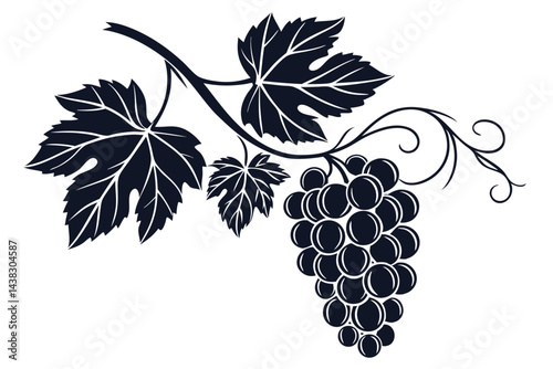 Minimalist grapes vine illustration. Branch with dark grapes and leaves in vintage style