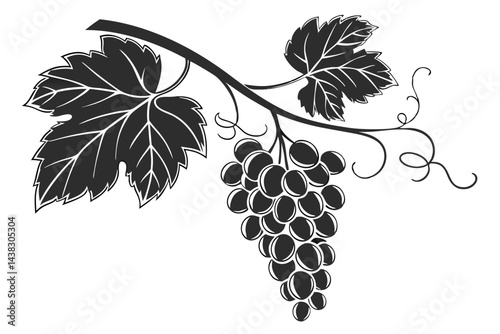 Grapevine Monochrome Branch, Leaves, Tendrils and Ripe Grape Bunch Minimalist Silhouette