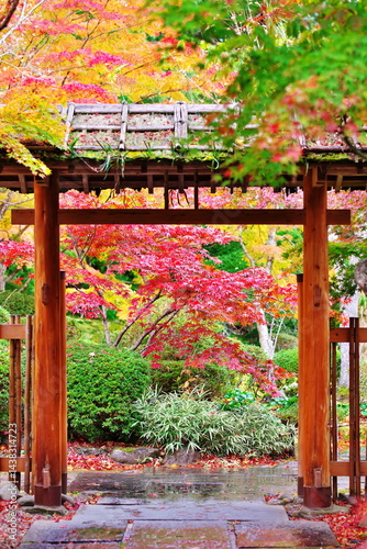 秋が訪れた神社仏閣