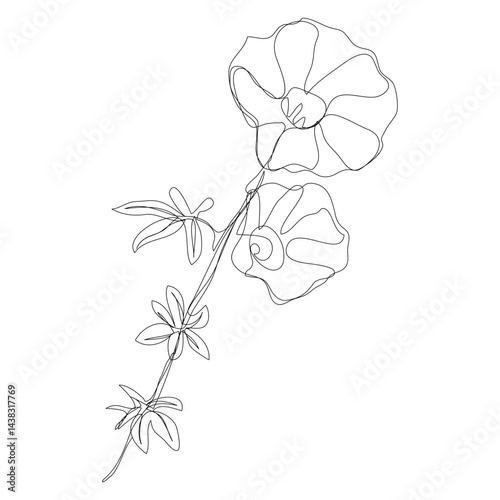 Cute continuous line minimal cartoon character hand drawn flower flora floral bloom decoration line art flower continuous line art sketch png vector.