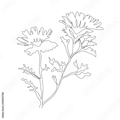 Cute continuous line minimal cartoon character hand drawn flower flora floral bloom decoration line art flower continuous line art sketch png vector.