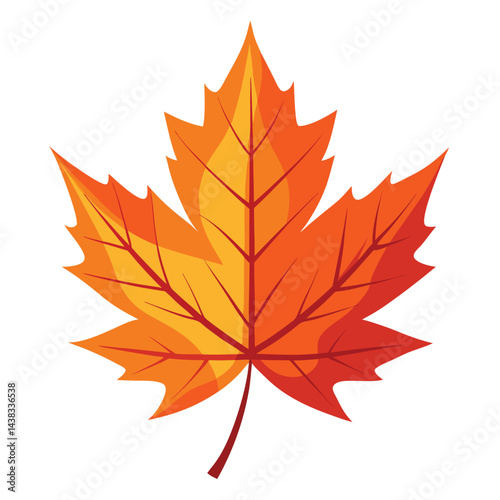 autumn maple leaves