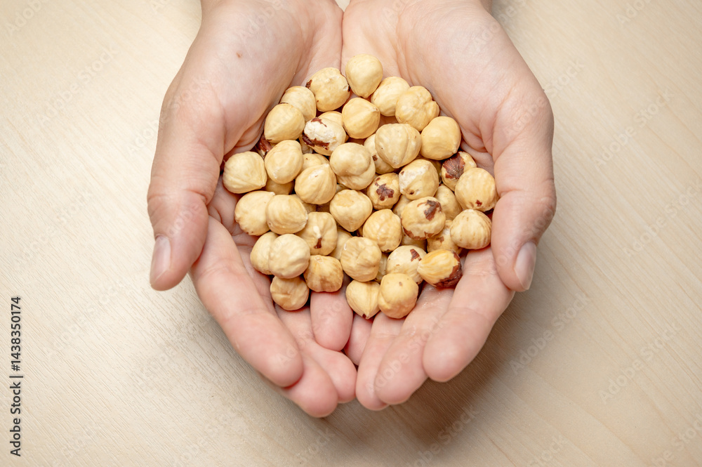 Hazelnuts in the hands of a girl. Isolate of nuts Hazelnuts in the hands of a girl. Isolate of nuts