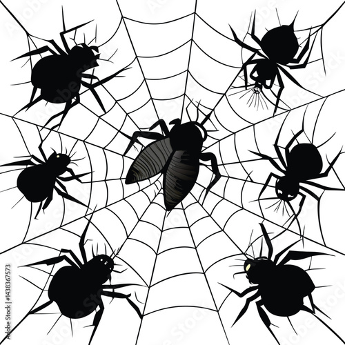 Flies caught in spiderweb
