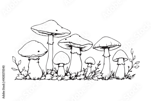 Mushroom with leaves line art