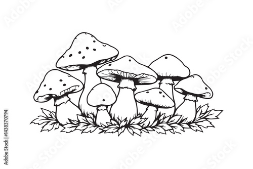 Mushroom with leaves line art